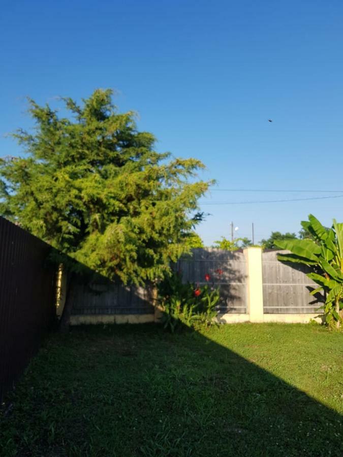 Solnechny Bereg Guest House Gudauta Exterior photo